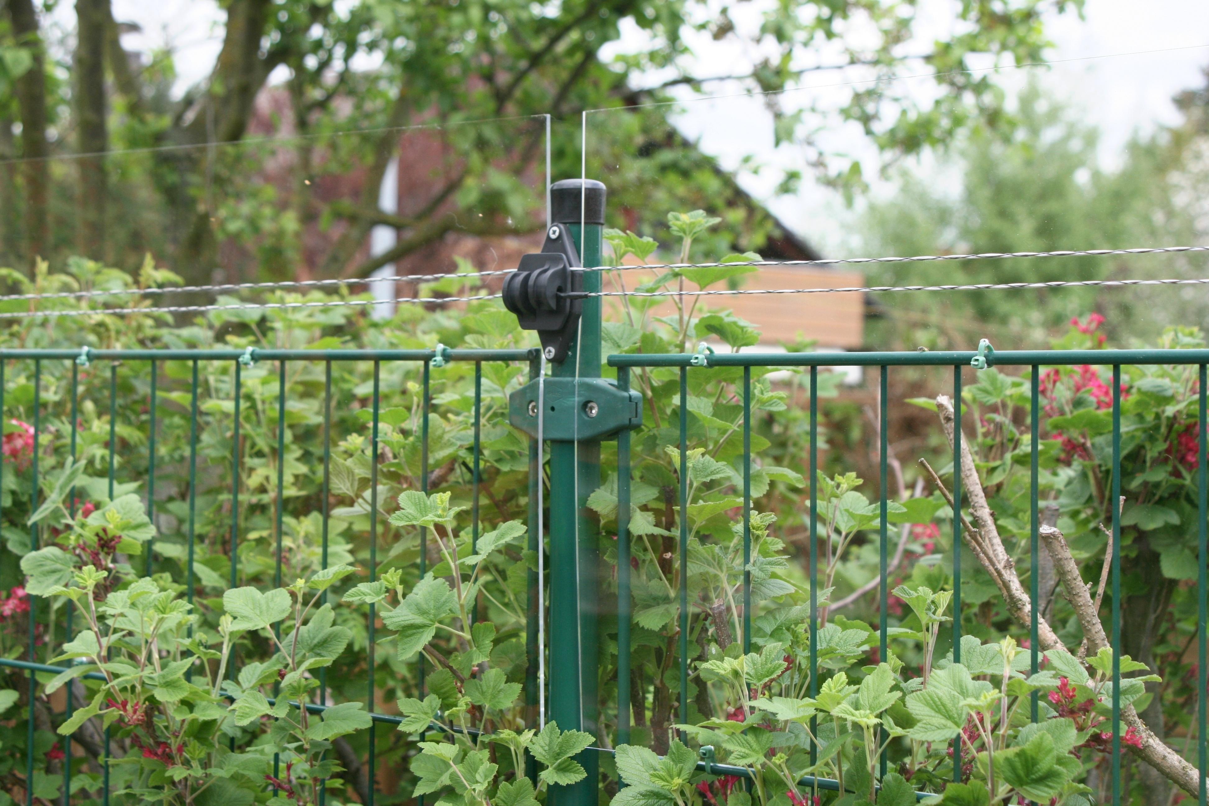 Zaun Für Katzen Im Garten