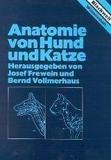 Anatomie von Hund und Katze