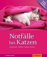 Notfälle bei Katzen