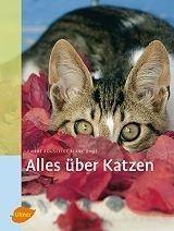 Alles über Katzen