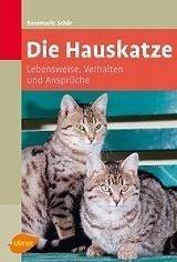 diehauskatze