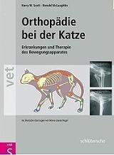 Orthopädie bei der Katze