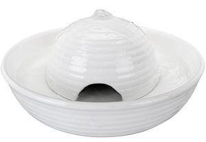 Katzenallergie Sofa Reinigen