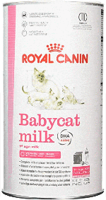 RC Babycat