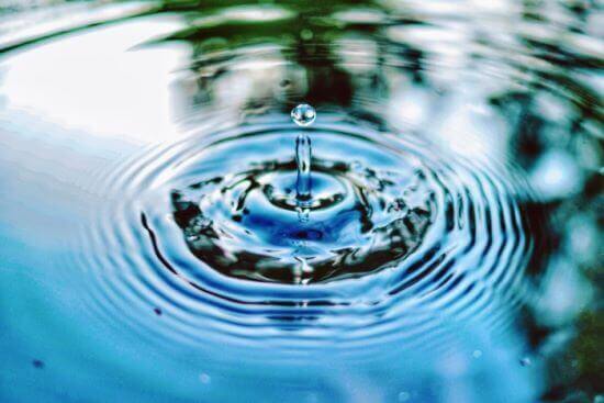 Wwwkatzeninfocom Lebenselixier Wasser
