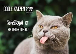 Coole Katzen 2022