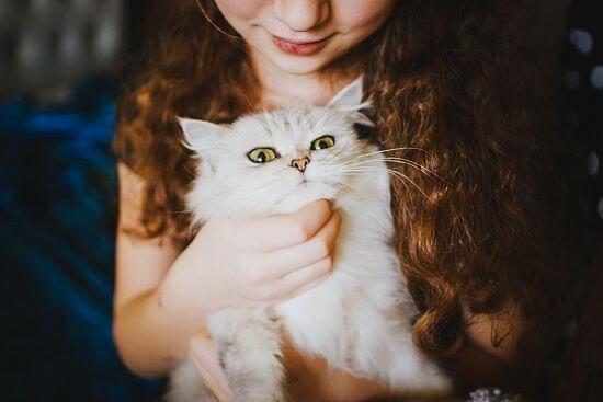Katzenallergie Foto von veronika homchis 1ejZ2XBjJgU unsplash