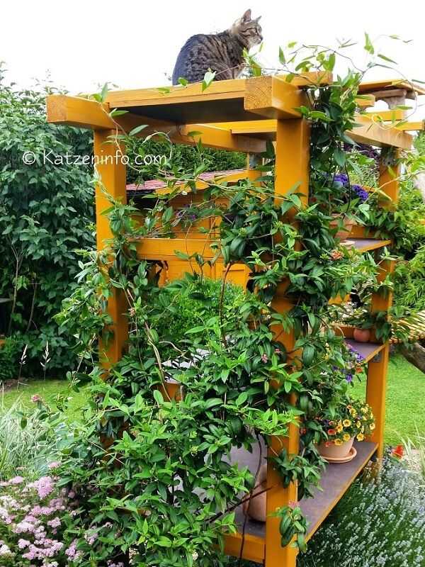 www.katzeninfo.com - Katzengarten