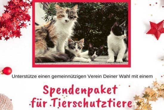 Weihnachtsspende Fuer Tierschutztiere Weihnachtsspende Fuer Tierschutztiere