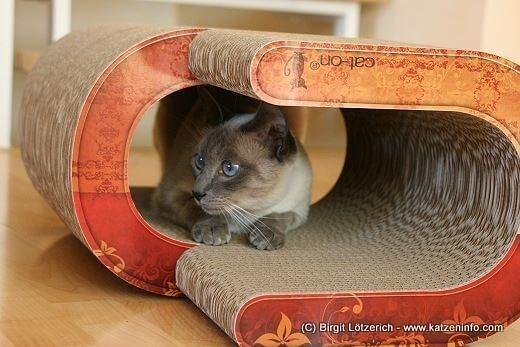cat-on La Vague - Katzeninfo.com Cat-on Katzenmöbel im Test