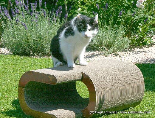 Cat-on Katzenmöbel im Test