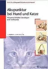 Akupunktur bei Hund und Katze