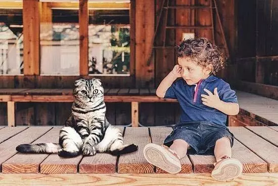 Katzen und Kleinkinder