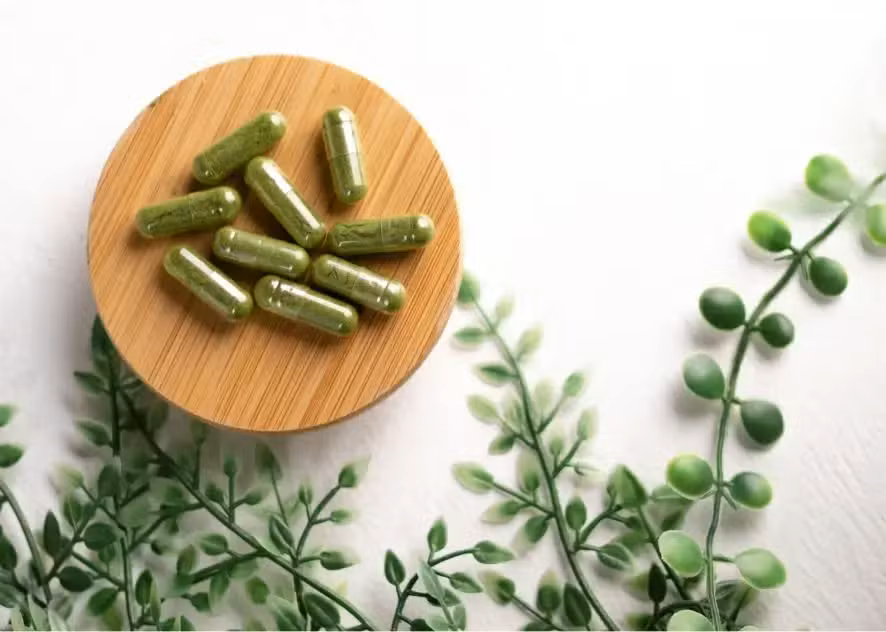 Nahrungsergänzung für Katzen