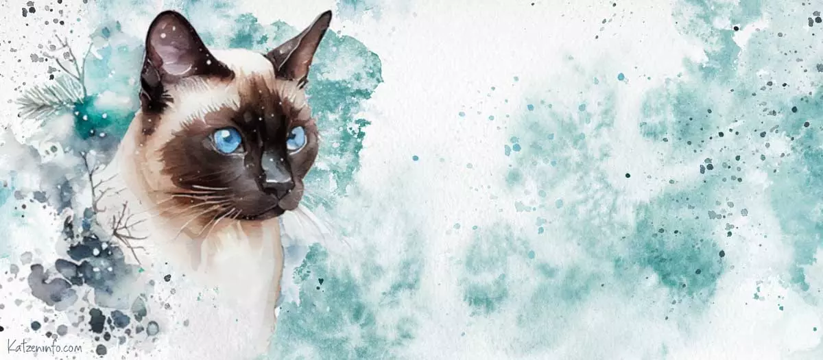 Banner Katzeninfo.com (copyright)